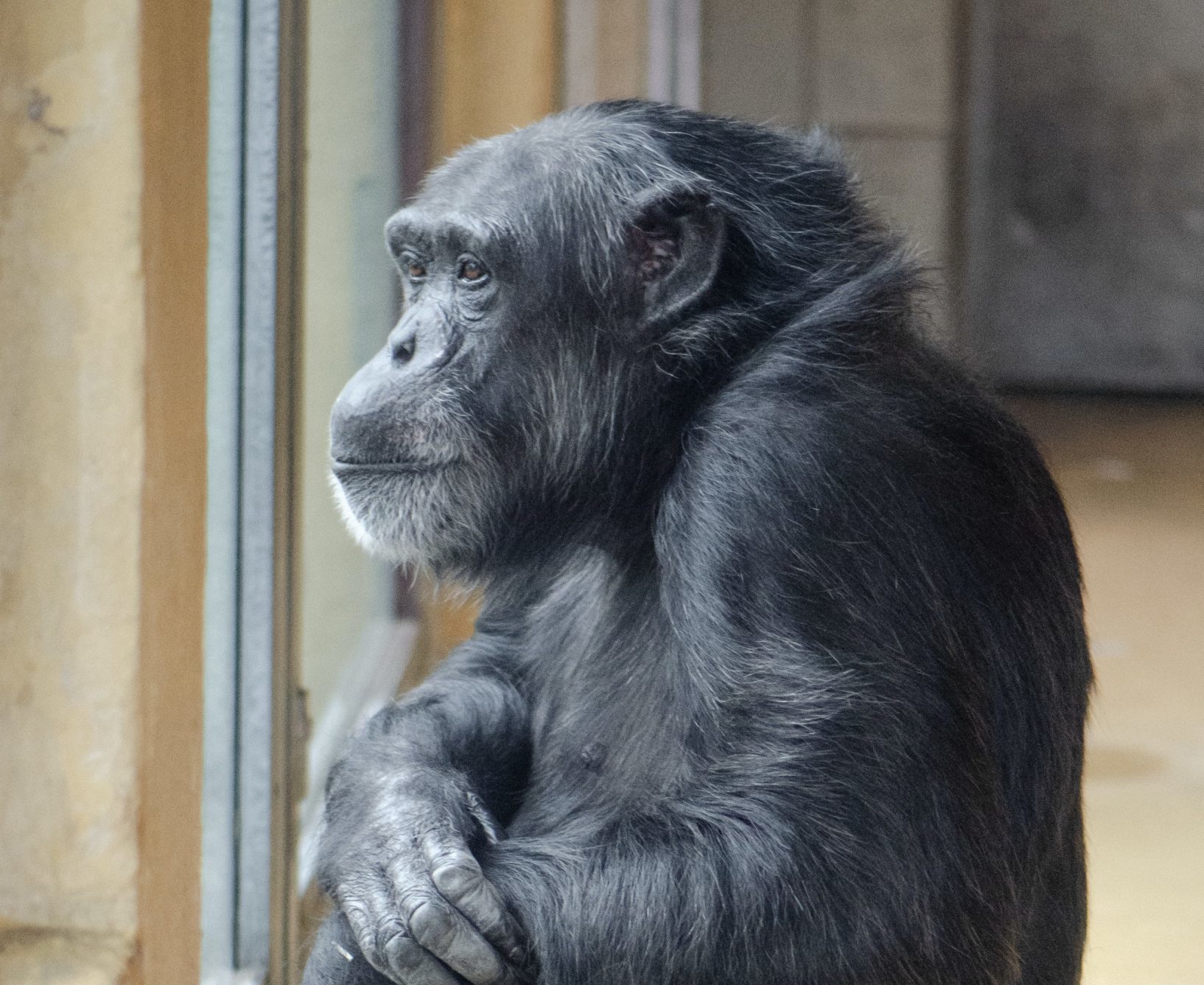 How to use stories to build trust, empathy and rapport